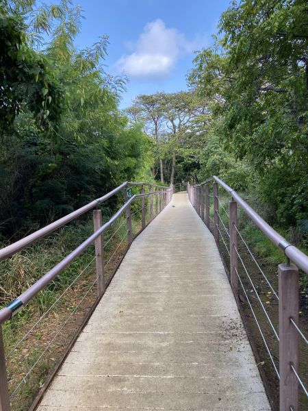 Footpath Construction in Navarre
