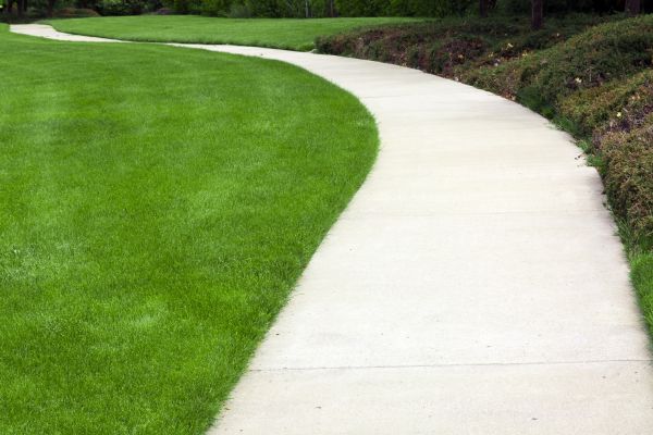 Pathway Construction in Navarre