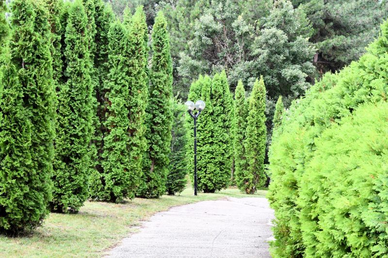 Outdoor Walkway Construction